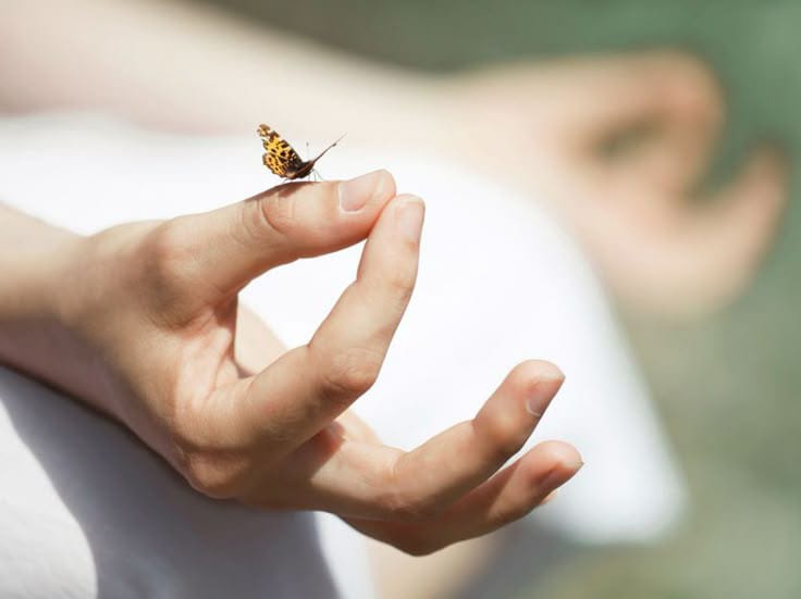 whatsapp image 2025 11 03 at 18.25.48 (2)