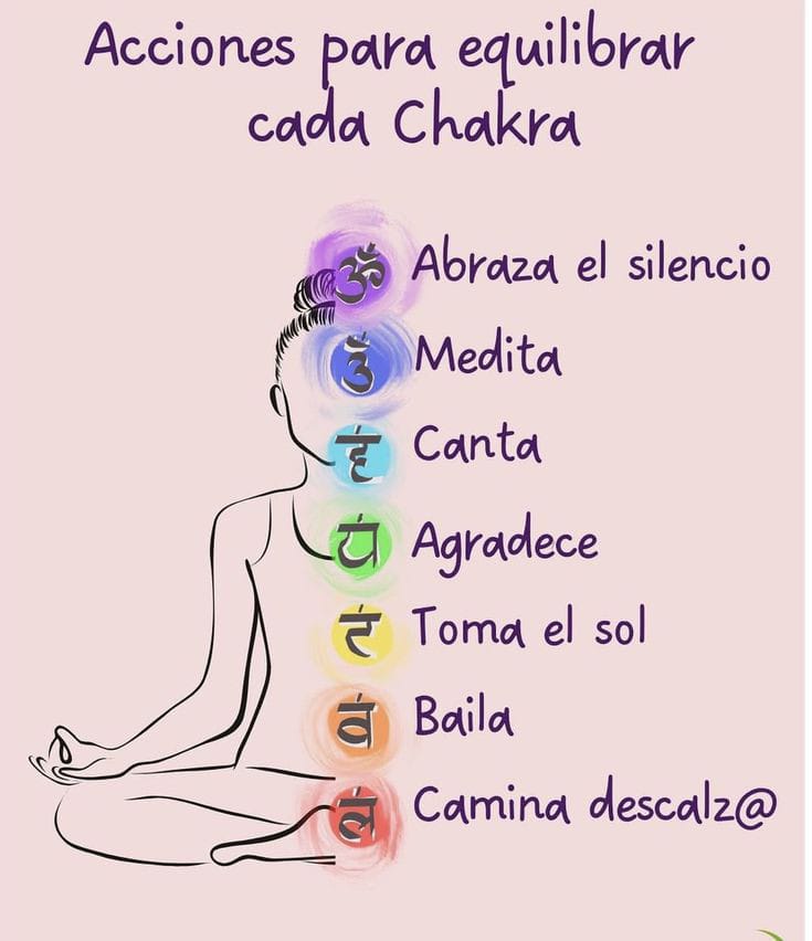 whatsapp image 2025 11 10 at 11.41.44