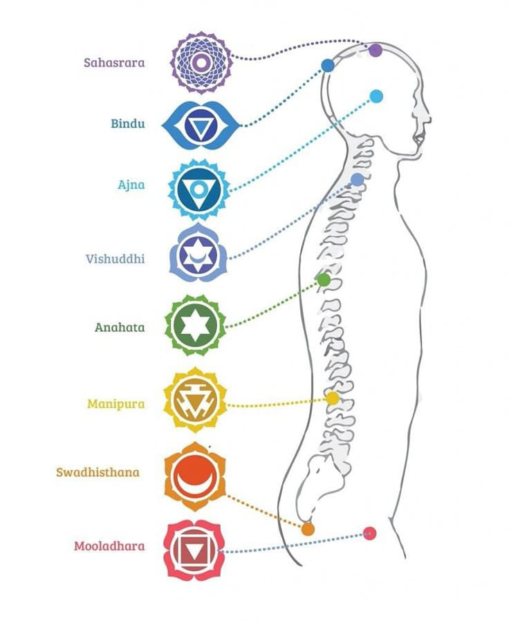 whatsapp image 2025 11 10 at 11.41.45